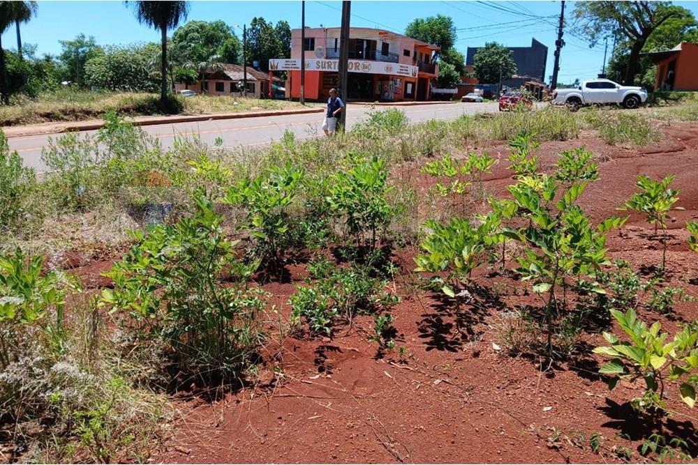 Terreno - Venta - Cambyretá, Itapúa, Paraguay — foto 2