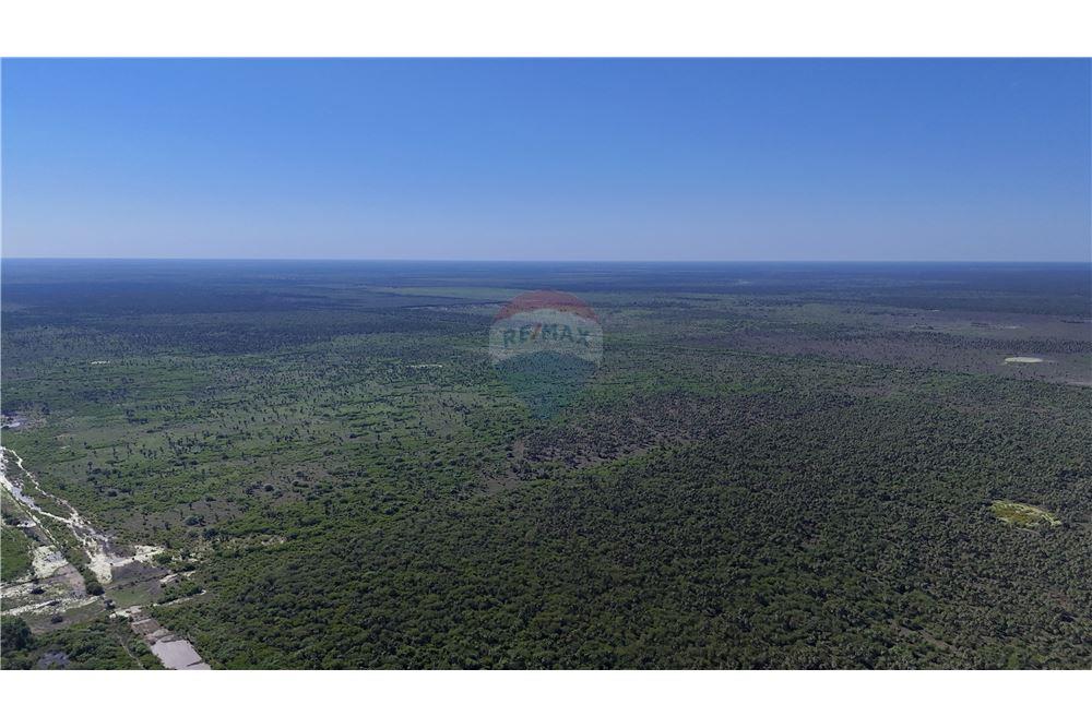 Gran Campo Desarrollado a la Venta - Pte. Hayes — foto 2