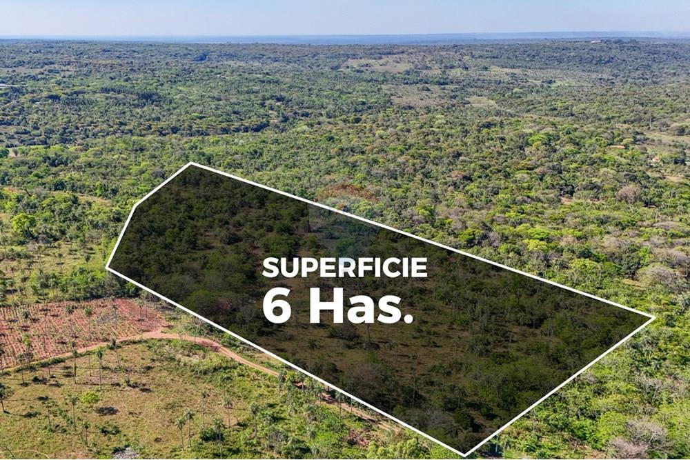 EN VENTA 6 HECTAREAS EN ALTOS-ITAGAZA — foto 2