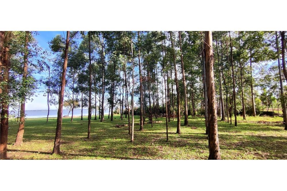 VENDO TERRENO EN SAN JUAN DEL PARANA SOBRE RIO — foto 3