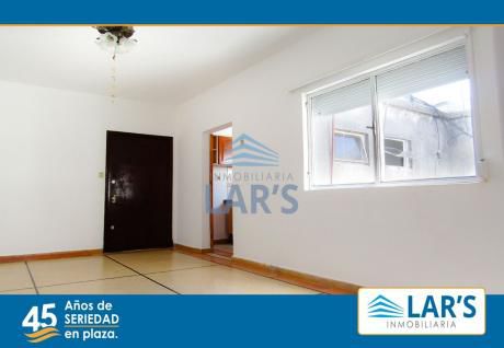 Apartamentos En Punta Carretas