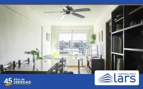 Apartamentos En Malvín