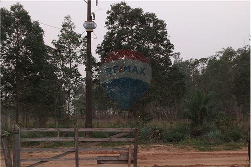 Estancia/Campo - Venta - San Pedro Del Paraná — foto 3