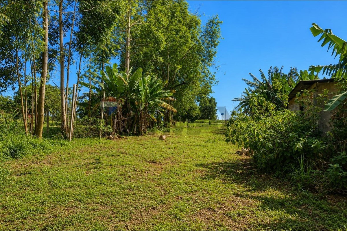 Vendo terreno en Hernandarias — foto 2
