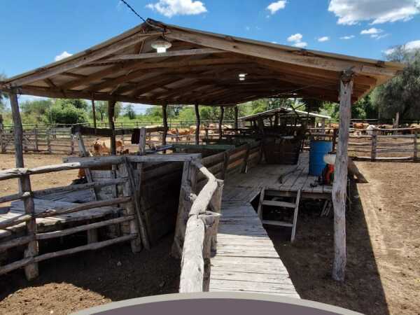VENDO ESTANCIA FORMADA SOBRE LA RUTA BIOCEANICA DE 9538 HECTAREAS — foto 3