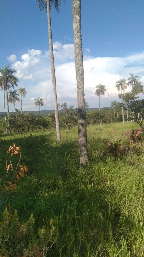 VENDO TERRENO DE 5 HECTÁREAS EN PARAGUARÍ - MBATOVI — foto 2