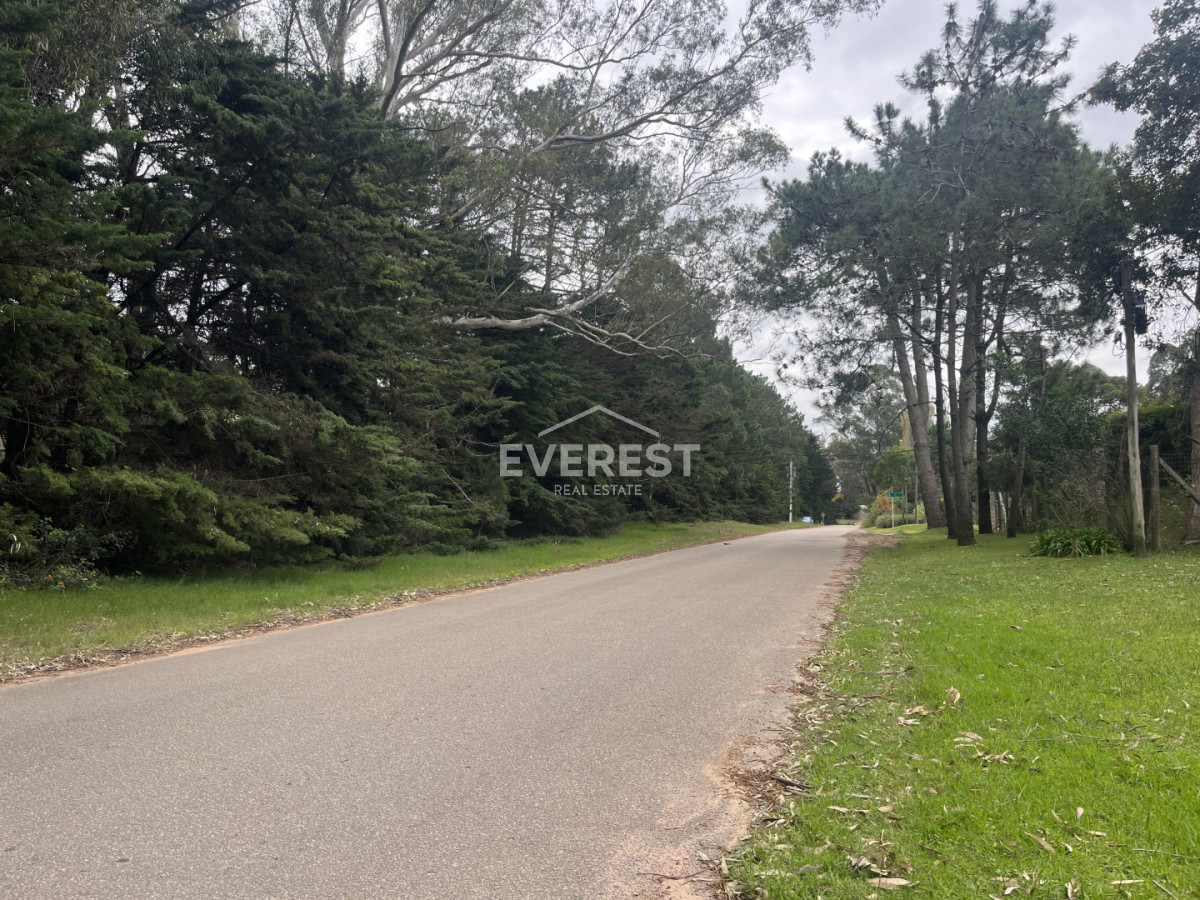 Venta Terreno en Rincón del Indio