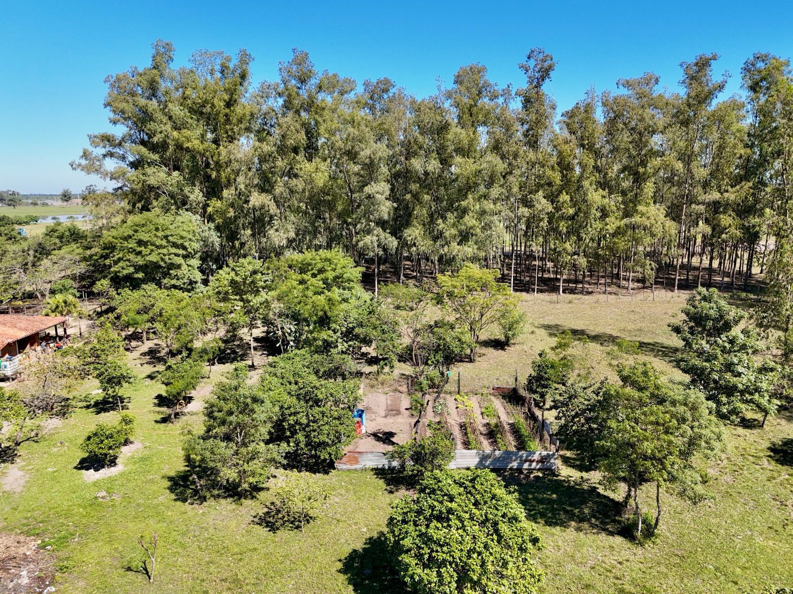 Vendo Gran propiedad de 14,8 hectareas en villa Hayes — foto 3