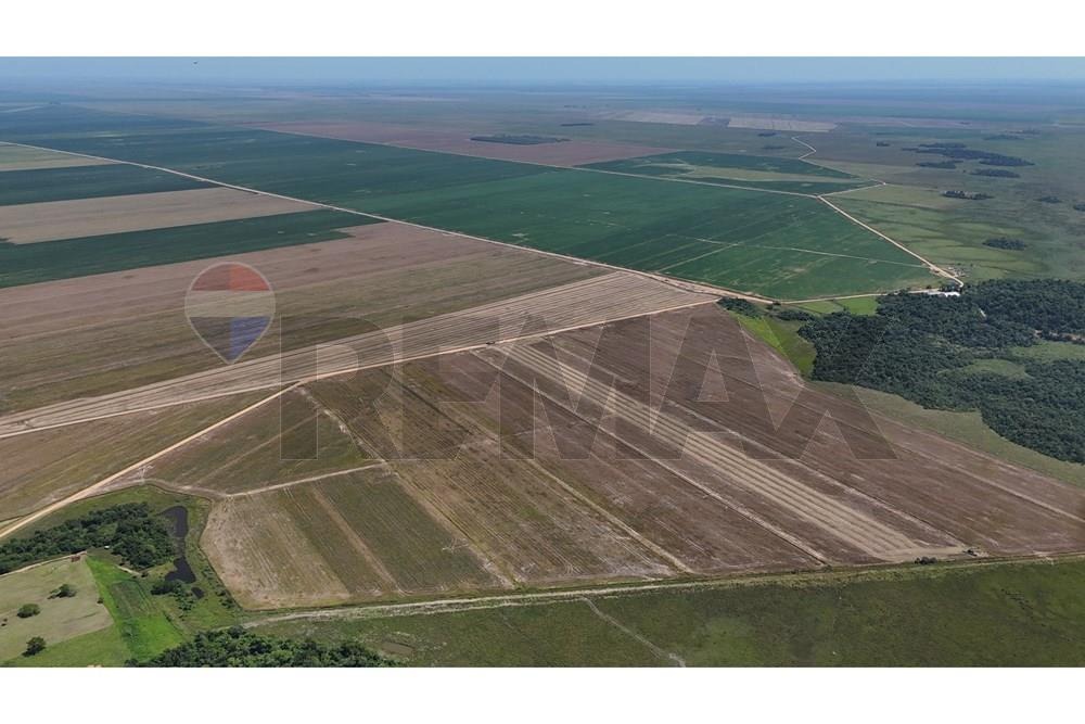 Área Agrícola de Alto Rendimiento en Venta – Inversión Productiva — foto 2