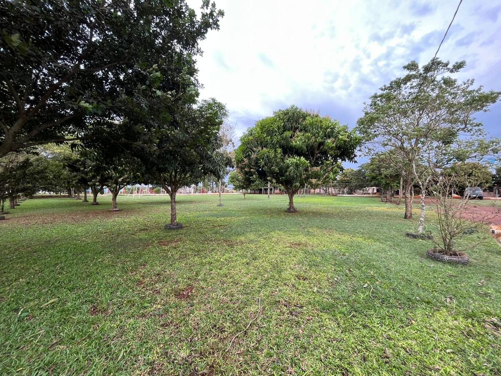 VENDO PROPIEDAD DE 5.303m2 EN KM 14. CDE!! REF. CLEM 2 — foto 3