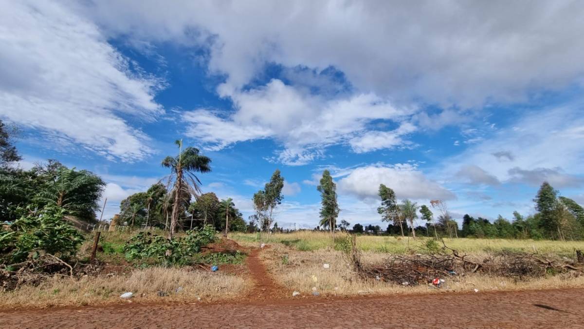 VENDO IMPONENTE TERRENO EN PEDRO JUAN CABALLERO — foto 2