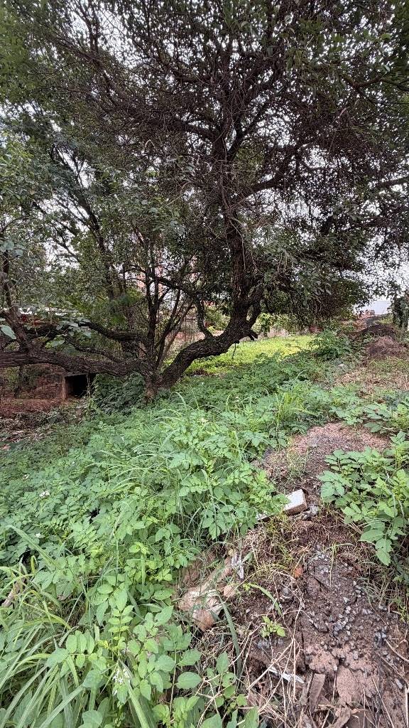 Terreno 625 m² en esquina | Luque — foto 3