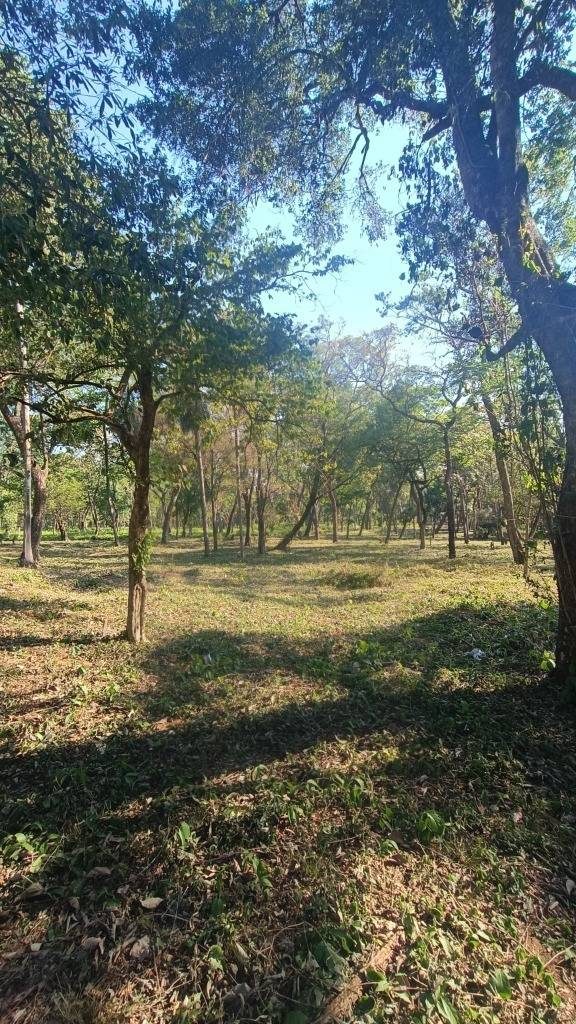 VENDO TERRENO EN SAN BERNARDINO — foto 3