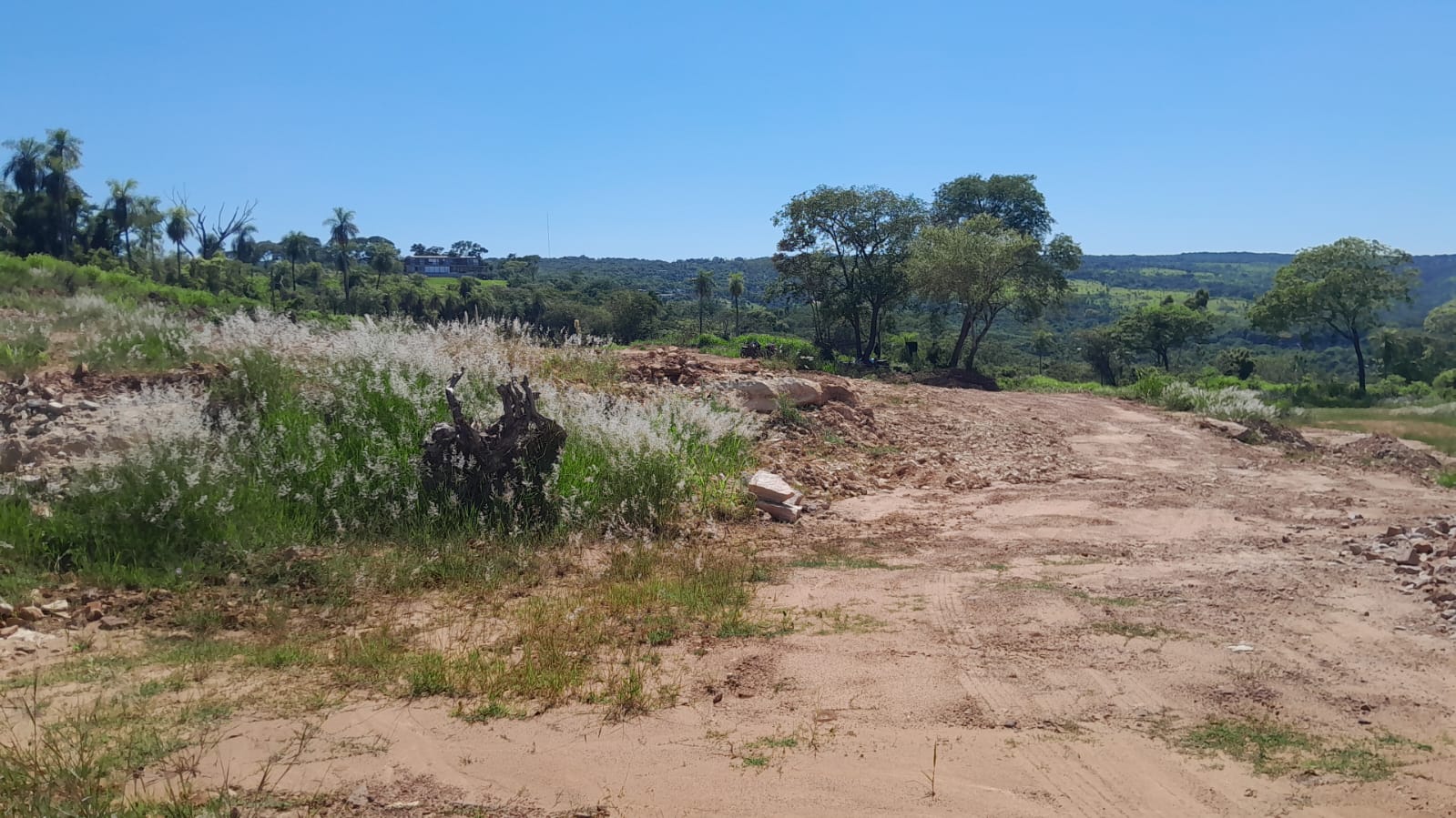TERRENO DE 2 HAS EN SAN BERNARDINO — foto 2