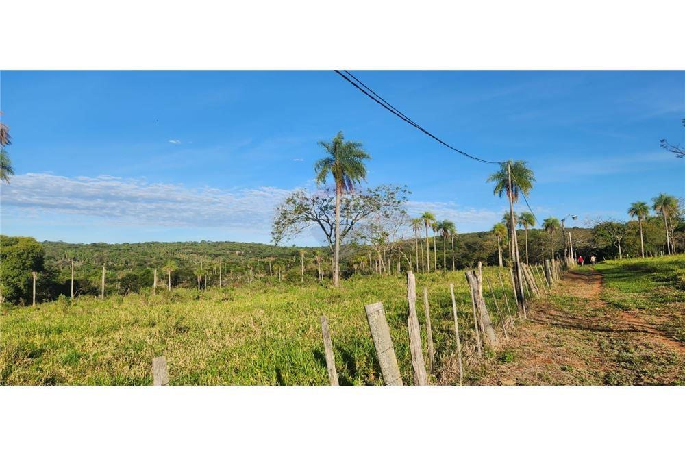 VENDO CASA QUINTA EN PIRIBEBUY 13.5 HECTAREAS — foto 3
