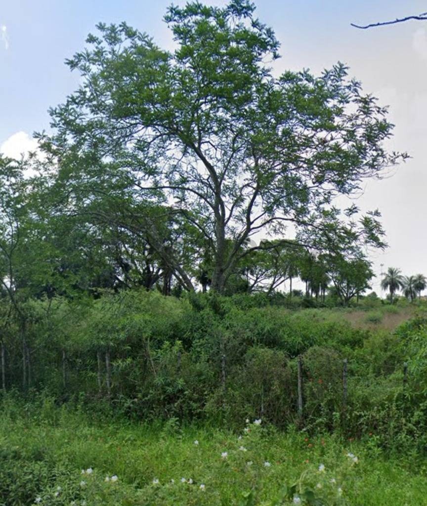Vendo 2.6 ha a una cuadra de la ruta transchaco en Benjamin Aceval — foto 2