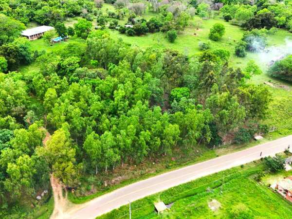 VENTA DE PROPIEDAD RURAL – CASA QUINTA EN CURUPAYTY, ARROYOS Y ESTEROS — foto 2