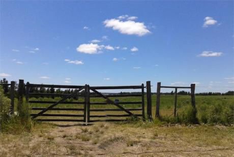 Campo 3.5ha Con Tajamar Y Autorizacion De Granja Regreativa
