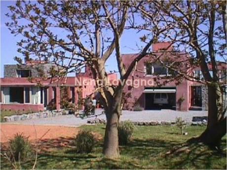 Casa En Venta Y Alquiler, Aidy Grill, Punta Del Este, 5 Dormitorios.