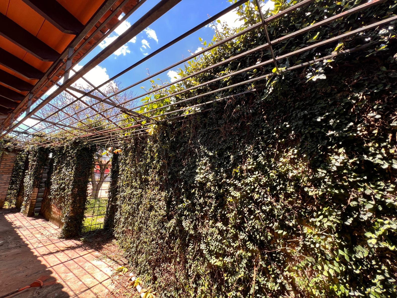 EN VENTA RESIDENCIA EN FDO DE LA MORA ZONA NORTE. — foto 3