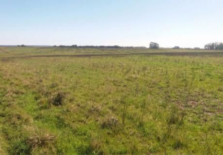 Muy Buen Campo En Cerro Largo - 6 Padrones