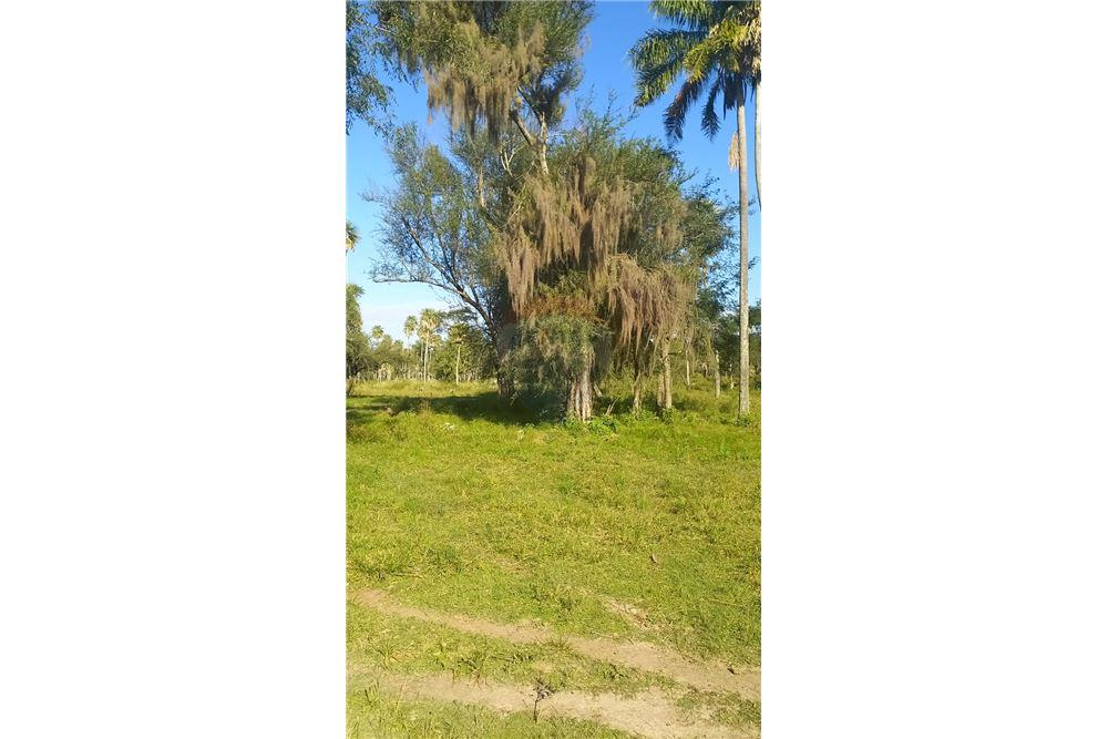 Estancia en Villa Oliva — foto 2