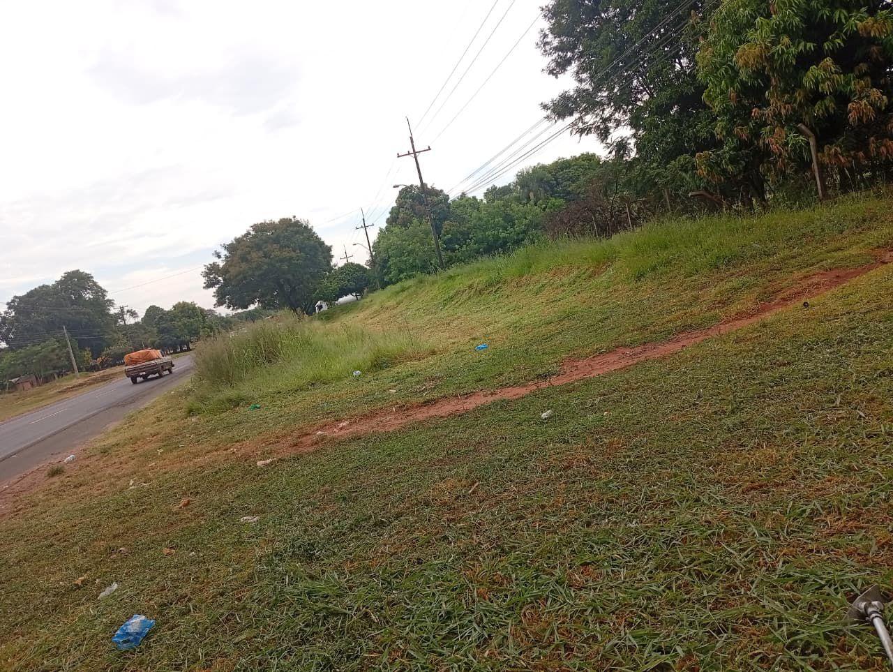 VENDO TERRENO 4 HA EN GUAYAIBI SAN PEDRO — foto 3