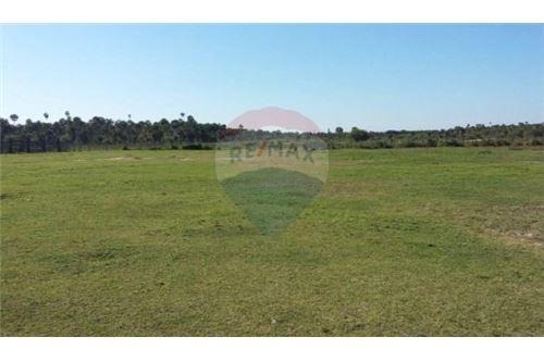 VENDO ESTANCIA EN FUNCIONAMIENTO EN FUERTE OLIMPO TORO PAMPA — foto 3