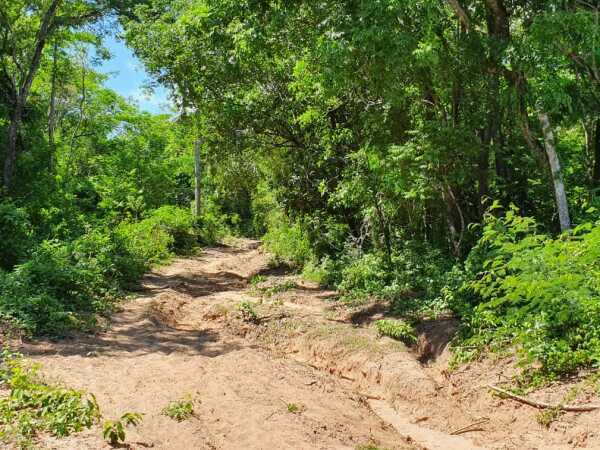 OFERTA TERRENO CON VISTA ÚNICA AL LAGO — foto 3