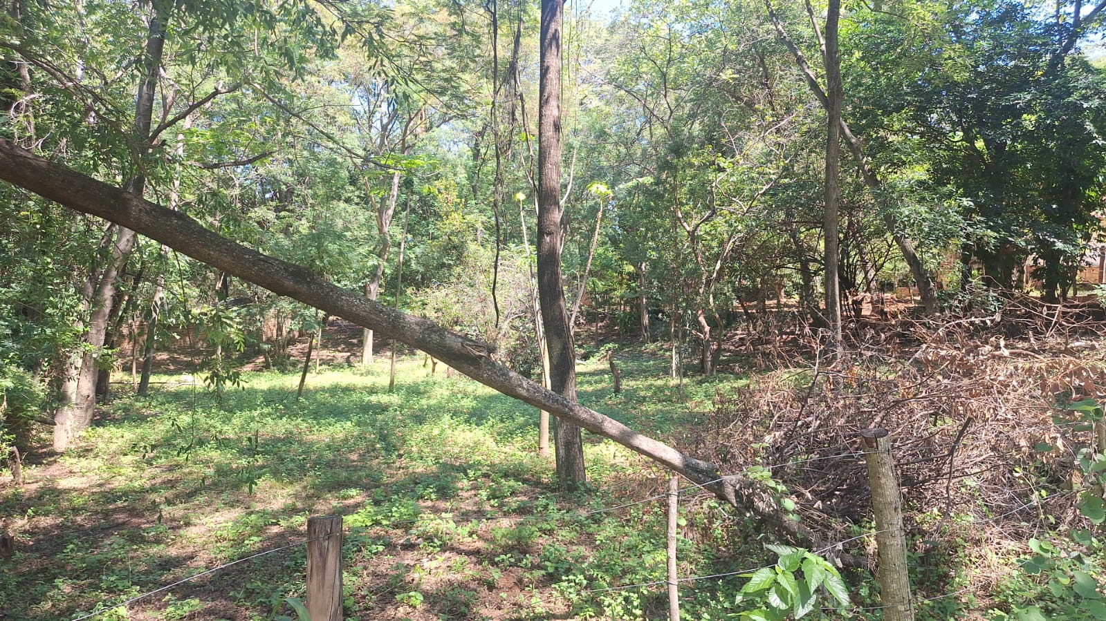 ¡Vendo hermoso terreno en San Bernardino,  zona La Suiza! — foto 3