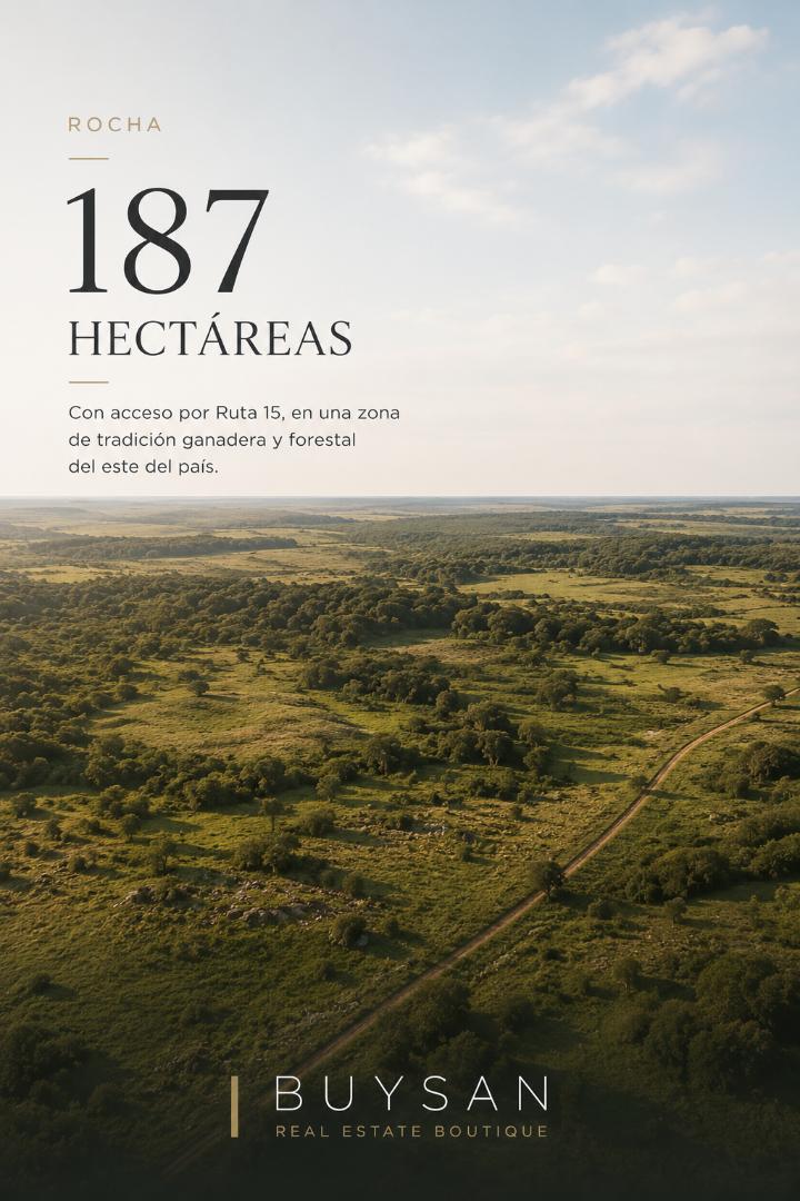 Campo de 187 hectáreas ubicado en el departamento de Rocha, con acceso por Ruta 15, en una zona de tradición ganadera y forestal del este del país. - foto 1