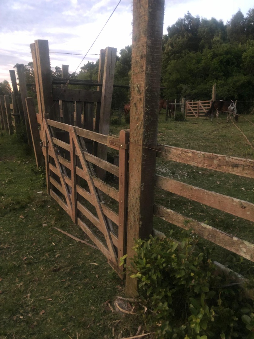 Campo de 187 hectáreas ubicado en el departamento de Rocha, con acceso por Ruta 15, en una zona de tradición ganadera y forestal del este del país. - foto 4