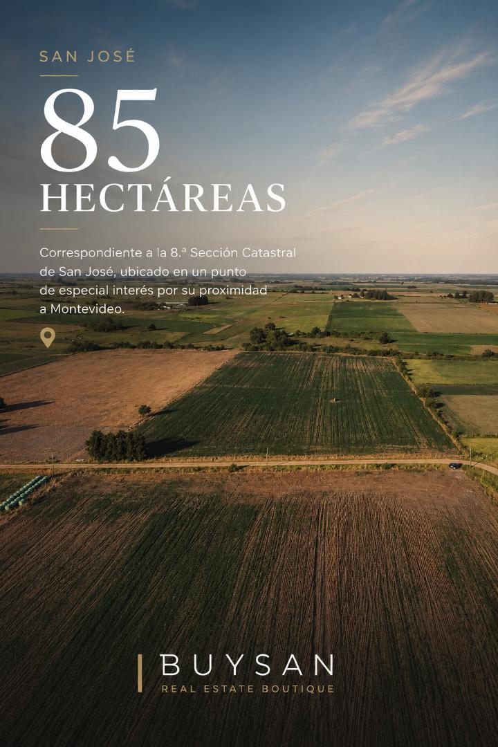 Campo de 85 hectáreas, correspondiente al la 8.ª Sección Catastral de San José, ubicado en un punto de especial interés por su proximidad a Montevideo - foto 1