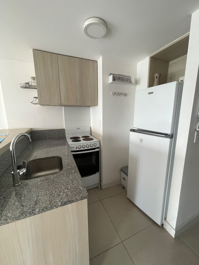 Alquiler Apartamento de 1 dormitorio, 2 baños, Garaje gimnasio, piscina, barbacoa, Pocitos, · Foto 8