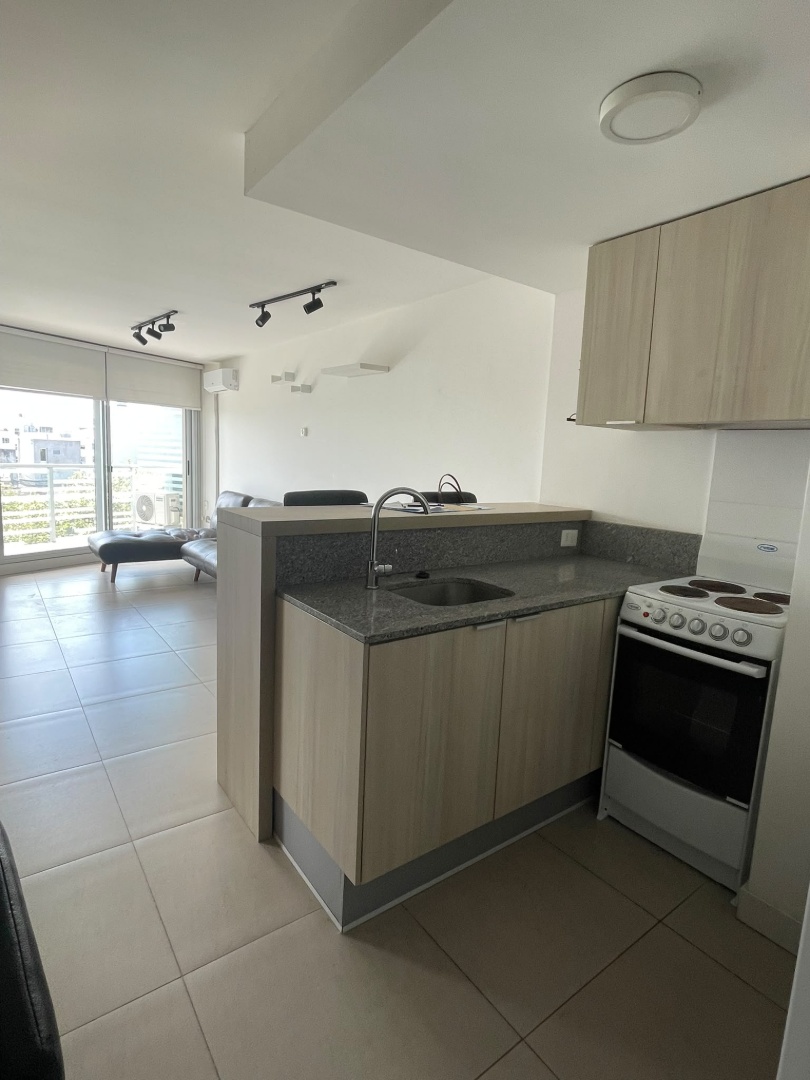 Alquiler Apartamento de 1 dormitorio, 2 baños, Garaje gimnasio, piscina, barbacoa, Pocitos, · Foto 12