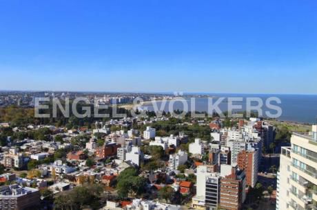 Oficinas De Primer Nivel En Montevideo