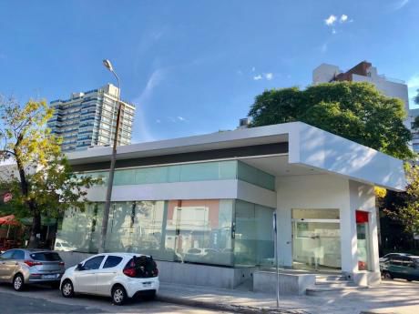 Importante Local Comercial En Alquiler En Punta Carretas