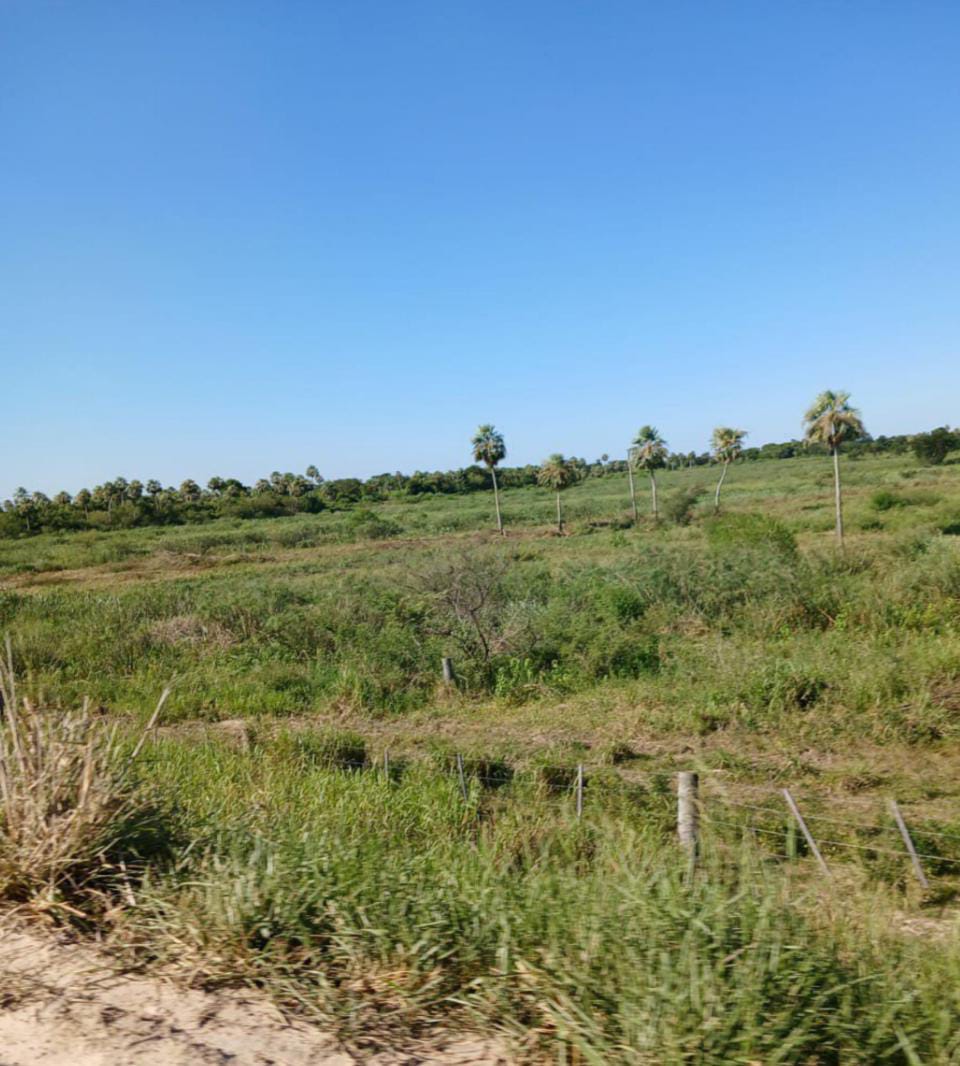 Vendo Propiedad de 2.400 Hectáreas, Zona Villa del Rosario - CLCS7073010 — foto 2