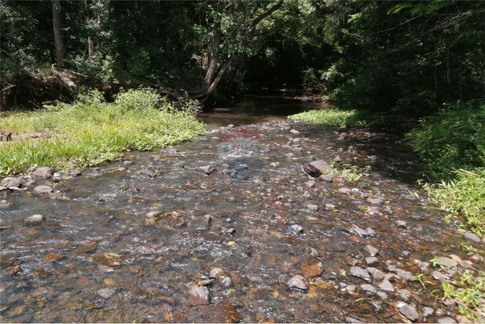 Vendo Terreno de 59 Hectáreas en Cambyreta — foto 3