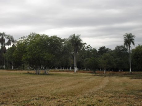 Terrenos En Capiatá