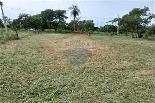 VENDO TERRENO EN PIRIBEBUY — foto 3