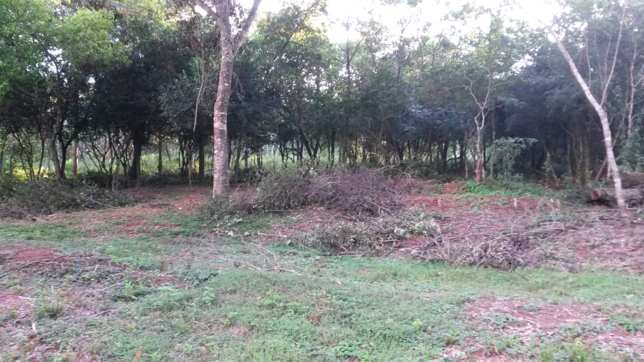 EN VENTA. AMPLIO TERRENO EN ALTOS — foto 2
