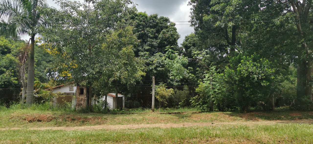 TERRENO EN VENTA SOBRE RUTA CABAÑAS-CAACUPÉ — foto 3