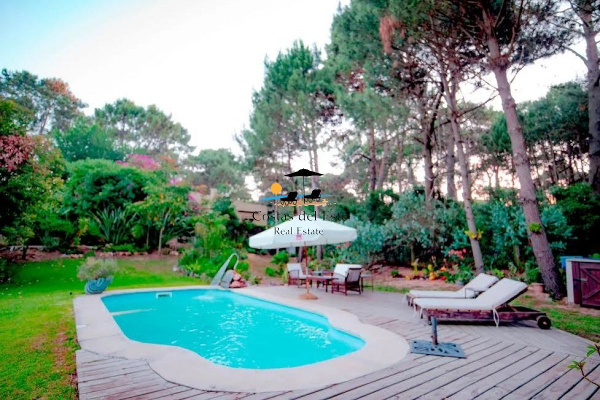 Alquilo Hermoso Quincho En Zona De Portezuelo,punta Del Este · Foto 4