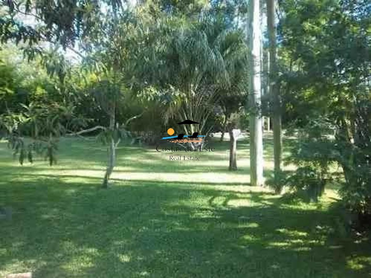 Alquiler Anual Hermosa Casa En Playa Mansa,3 Dormitorios + Dependencia De Servicio · Foto 3