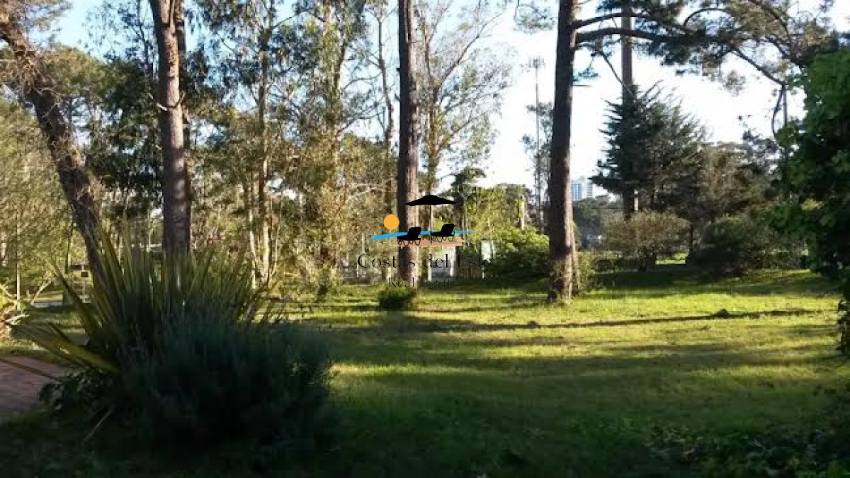 Alquiler Anual Hermosa Casa De 4 Dormitorios En San Rafael!! · Foto 7