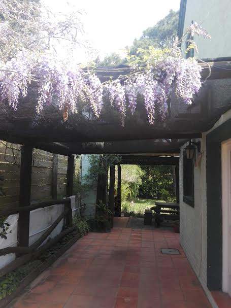 Casa en alquiler de 4 dormitorios c/ cochera en La Barra · Foto 3