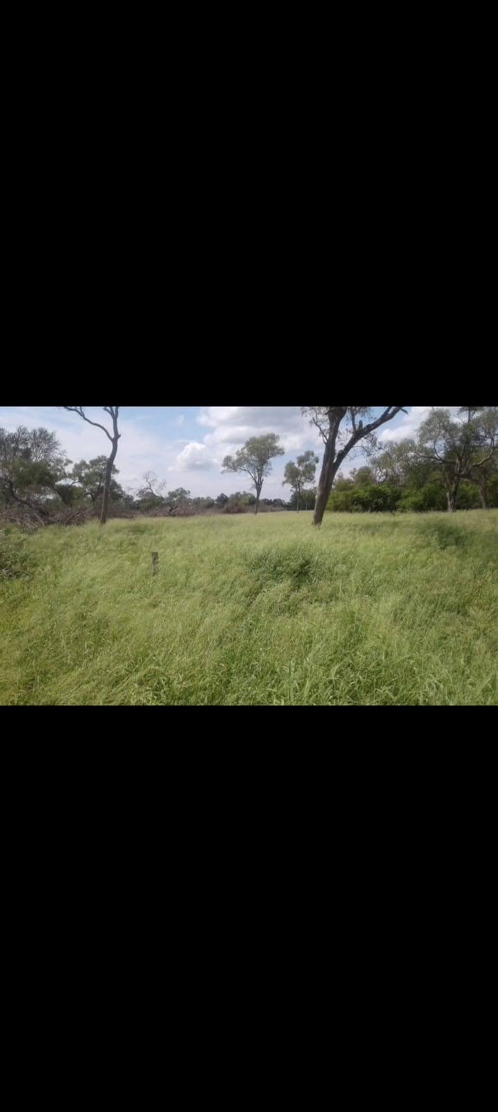 Vendo Campo de 3.700 Hectáreas en Zona Santa Marta, Boquerón - CLCS7526804 — foto 2