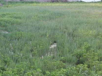 Excelente Terreno, Ubicado Frente A La Playa Km 25 Rambla Costanera.