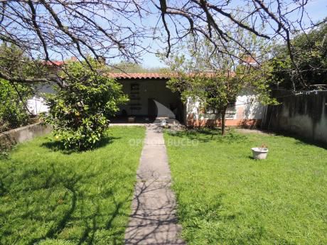 Terreno Con 2 Casas En Venta En Buceo, Montevideo.